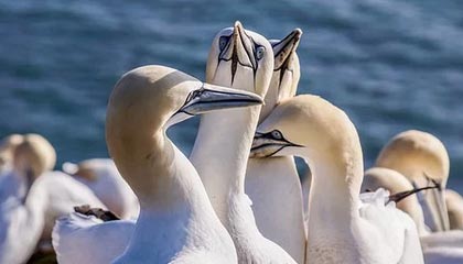 开云体育在线-米乐m6yy易游:用一款App重新定义你的出行体验