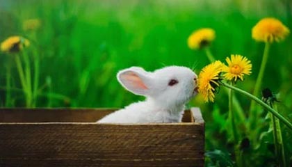 开云体育官网-九游官网:开启手游新纪元的官方入口,安全、海量资源与福利尽在掌握